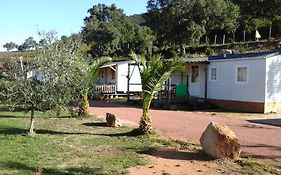 Mobile Home A Saliva